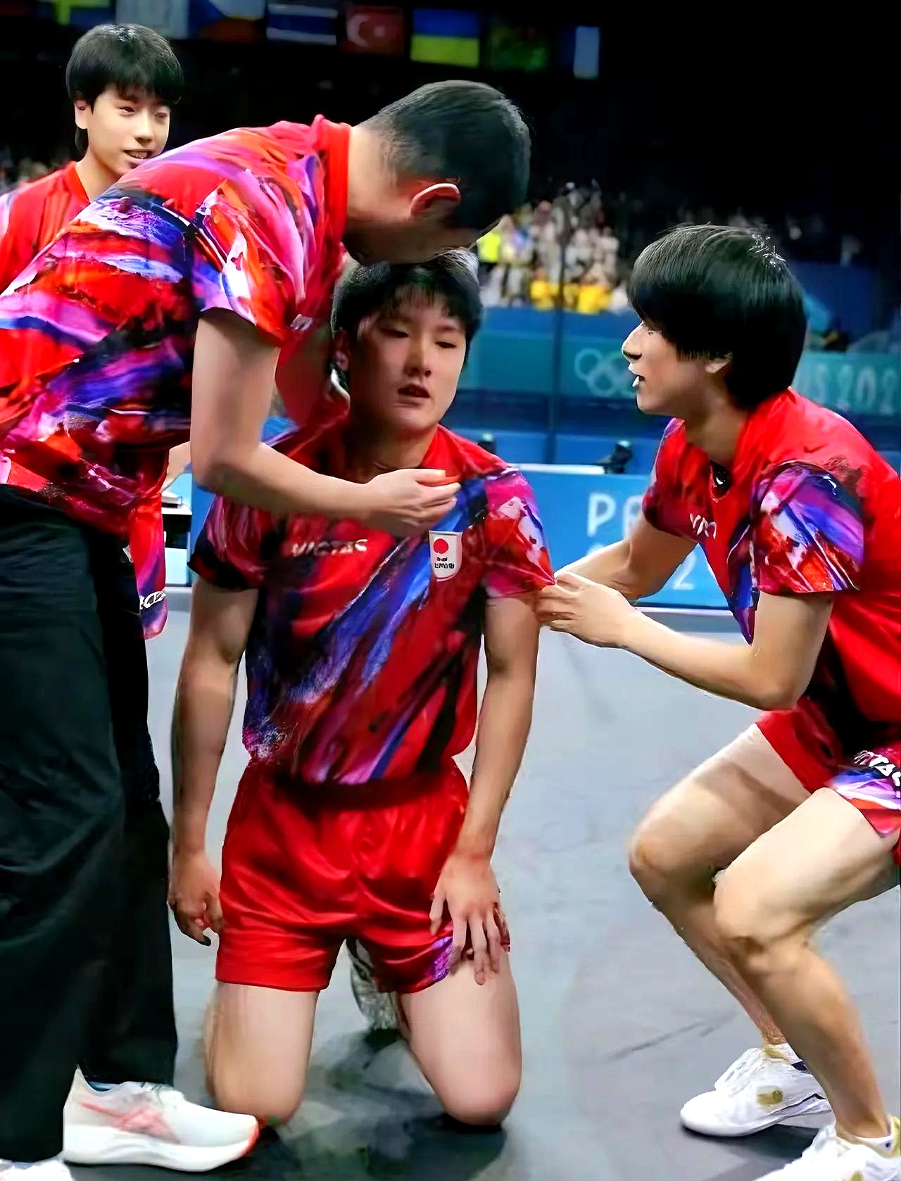 关于法国队轻取日本队，张本智和关键制胜的信息